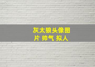 灰太狼头像图片 帅气 拟人